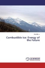 Combustible Ice: Energy of the Future