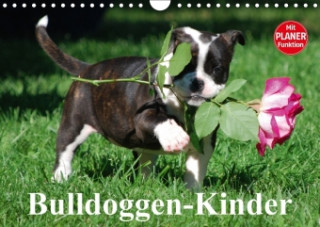 Bulldoggen-Kinder (Wandkalender 2018 DIN A4 quer) Dieser erfolgreiche Kalender wurde dieses Jahr mit gleichen Bildern und aktualisiertem Kalendarium w