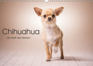 Chihuahua - Die Welt der Kleinen (Wandkalender 2018 DIN A3 quer)