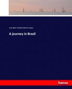 journey in Brazil