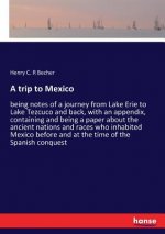 trip to Mexico