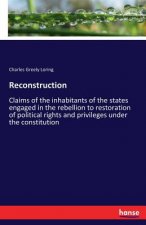 Reconstruction