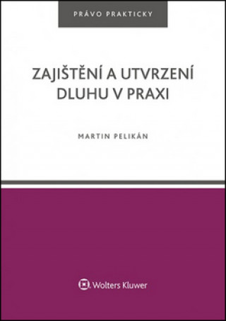 Zajištění a utvrzení dluhu v praxi