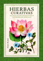 Hierbas Curativas: Gran Selección de Especies Naturales y sus Propiedades Medicinales