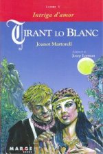 Tirant lo Blanc - Llibre V, Intriga d'amor