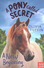 Pony Called Secret: A New Beginning