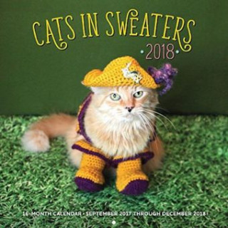 Cats in Sweaters 2018