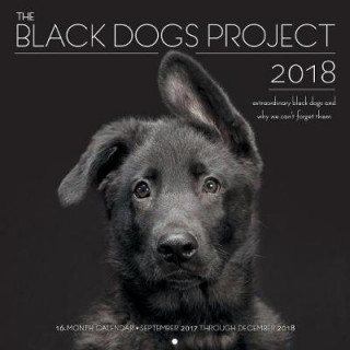 Black Dogs Project 2018