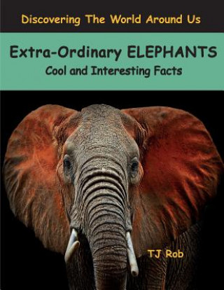 Extra-Ordinary Elephants