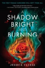 Shadow Bright and Burning (Kingdom on Fire, Book One)