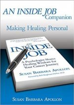 INSIDE JOB COMPANION