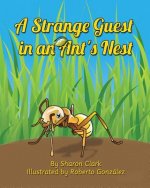 Strange Guest in an Ant's Nest