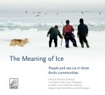 Meaning of Ice