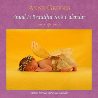 Anne Geddes Small is Beautiful 2018 Wall Calendar