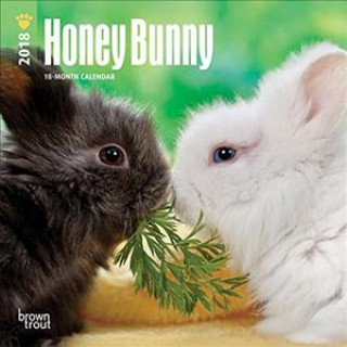 2018 Honey Bunny Mini Wall Calendar