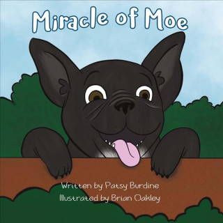 Miracle of Moe