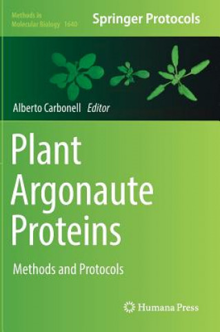 Plant Argonaute Proteins