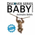 ANIMALES BEBES/ BABY ANIMALS