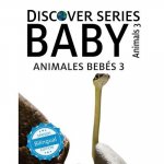 ANIMALES BEBES 3/ BABY ANIMALS