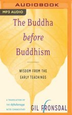 The Buddha Before Buddhism: Wisdom from the Early Teachings