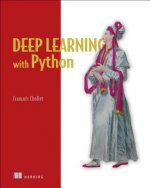 Deep Learning with Python