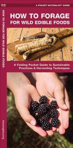 Foraging for Wild Edible Foods: A Folding Pocket Guide to Sustainable Practices & Harvesting Techniques