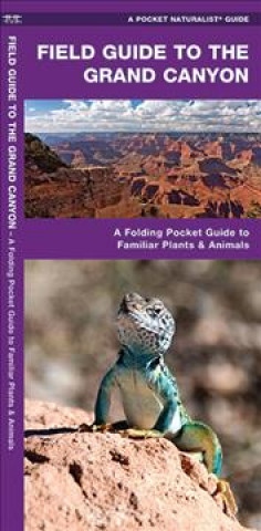Field Guide to the Grand Canyon: A Folding Pocket Guide to Familiar Plants and Animals
