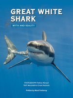Great White Shark: Myth and Reality