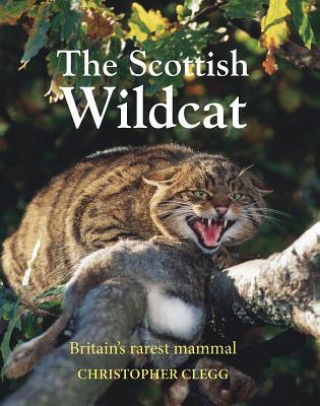 Scottish Wildcat