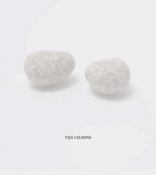 Vija Celmins