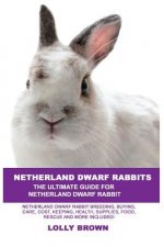 NETHERLAND DWARF RABBITS