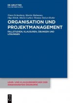 Organisation Und Projektmanagement
