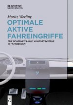 Optimale aktive Fahreingriffe