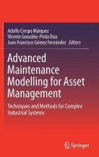 Advanced Maintenance Modelling for Asset Management