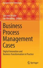 Business Process Management Cases