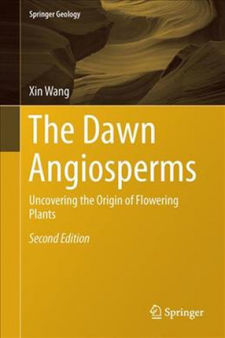 Dawn Angiosperms