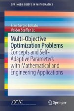 Multi-Objective Optimization Problems