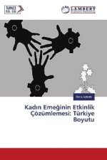Kad n Emeginin Etkinlik Çözümlemesi: Türkiye Boyutu