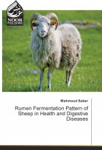 Rumen Fermentation Pattern of Sheep in Health and Digestive Diseases
