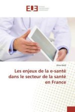 Les enjeux de la e-santé dans le secteur de la santé en France