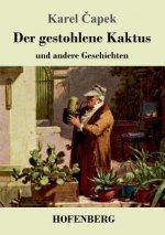 gestohlene Kaktus und andere Geschichten