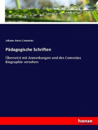 Padagogische Schriften