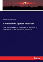 History of the Egyptian Revolution