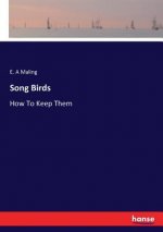 Song Birds