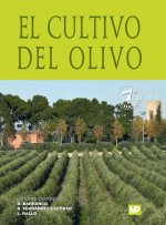 El cultivo del Olivo