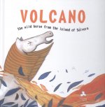 VOLCANO.THE WILD HORSE FROM THE ISLAND OF SÁLVORA