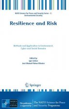 Resilience and Risk