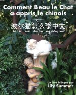 Comment Beau le Chat a appris le chinois