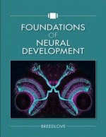 Foundations of Neural Development