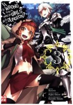 Is it Wrong to Try to Pick up Girls in a Dungeon?. Bd.3